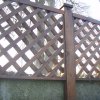 Stained Timber Diamond Trellis with Caps on Wall